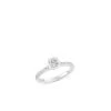Promise Amphore Ring