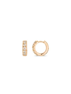 Basics Hoop Earrings