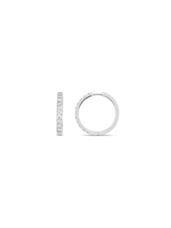 Basics Hoop Earrings