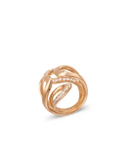 Sensual Golden Bridge Ring