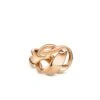 Sensual Golden Bridge RING