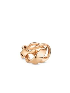 Sensual Golden Bridge RING