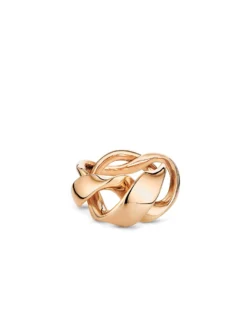 Sensual Golden Bridge RING