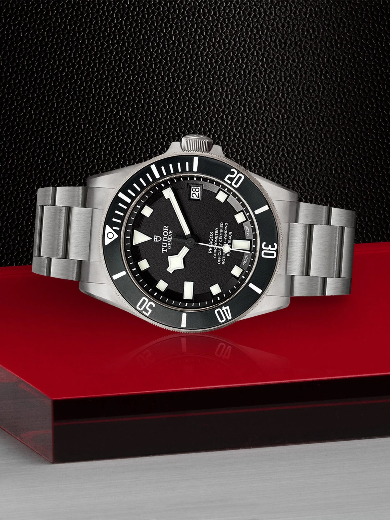 Tudor Pelagos - Image 2