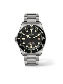 Tudor Pelagos LHD