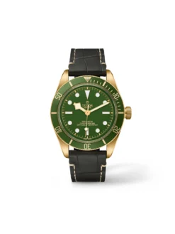 Tudor Black Bay Fifty-Eight 18k