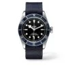 Tudor Black Bay