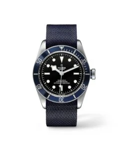Tudor Black Bay