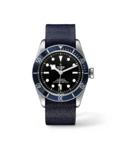 Tudor Black Bay