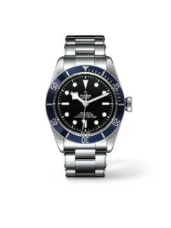 Tudor Black Bay