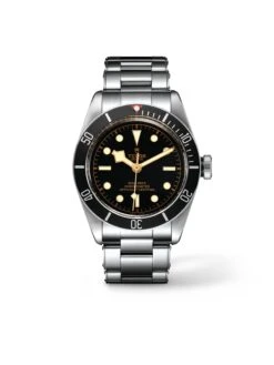 Tudor Black Bay
