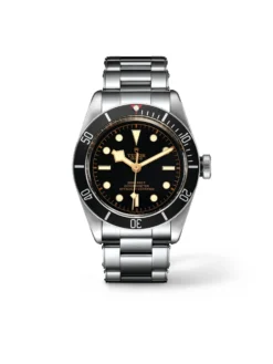 Tudor Black Bay