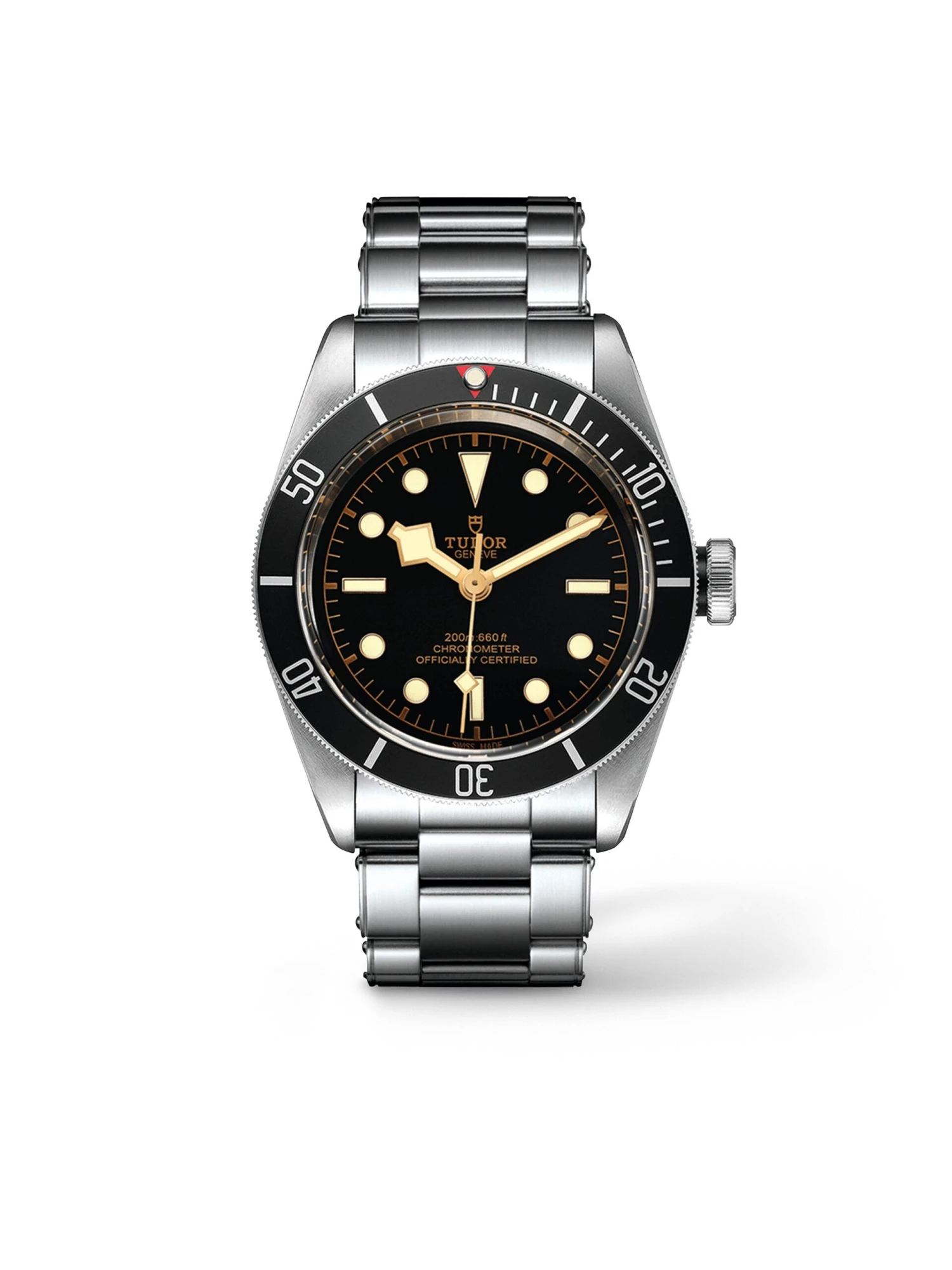 Tudor Black Bay