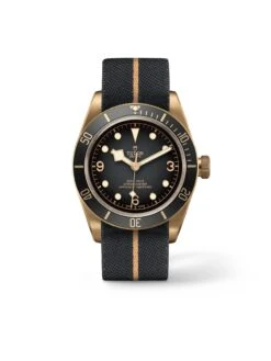 Tudor Black Bay Bronze