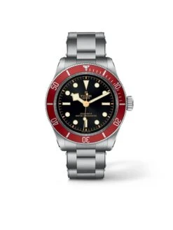 Tudor Black Bay