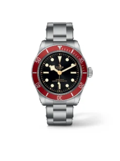 Tudor Black Bay