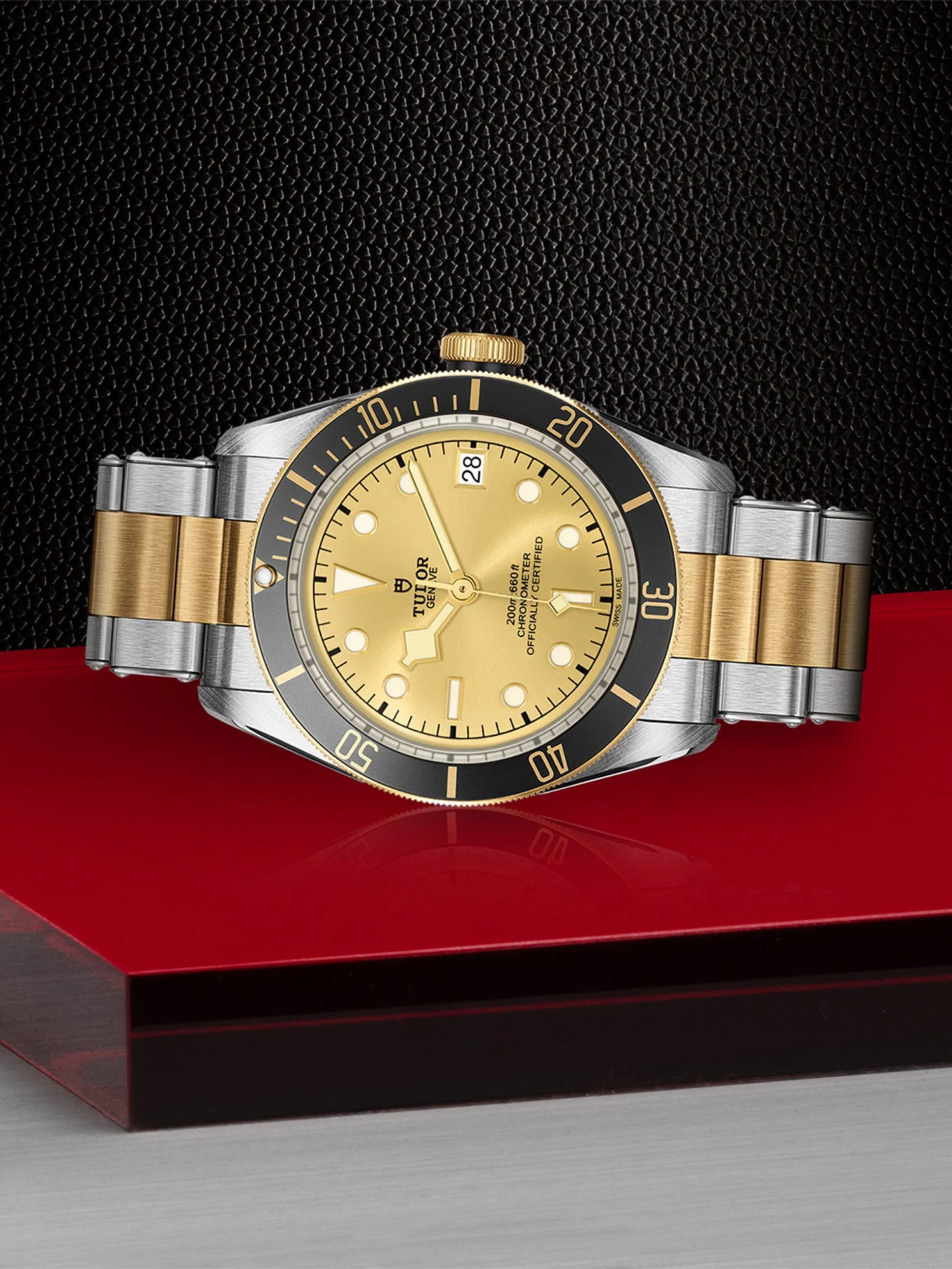 Tudor Black Bay S&G - Image 2