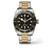 Tudor Black Bay S&G