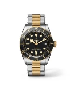 Tudor Black Bay S&G