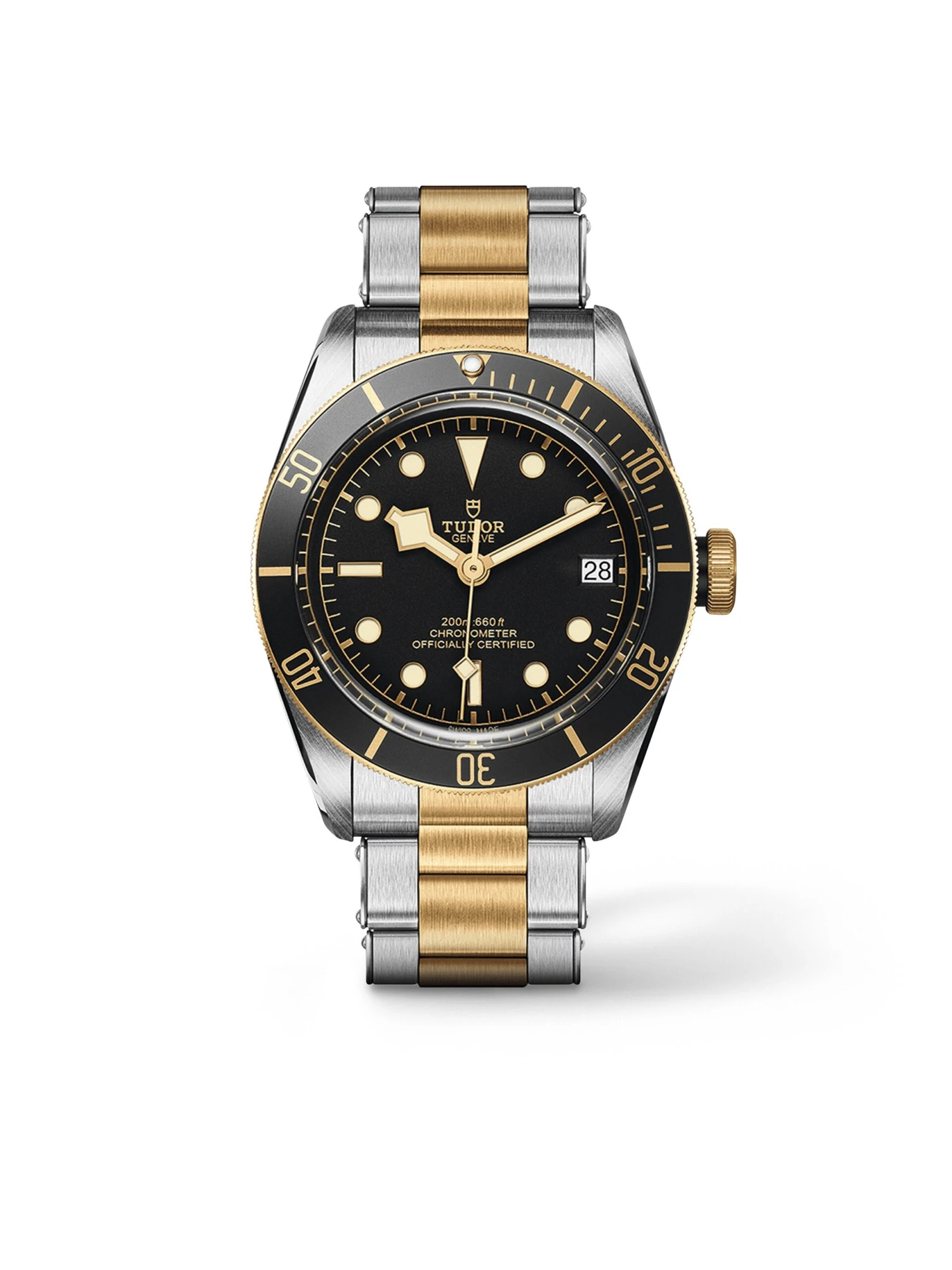 Tudor Black Bay S&G