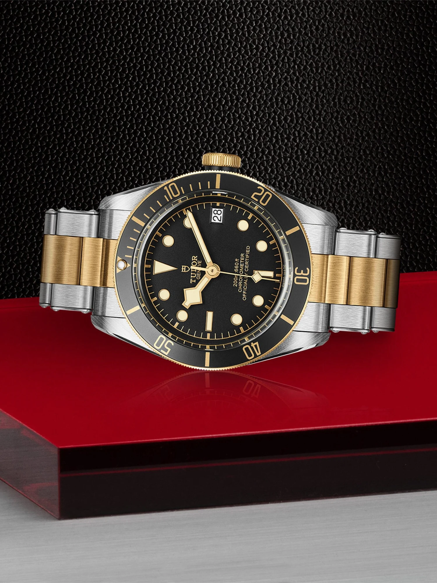 Tudor Black Bay S&G - Image 2